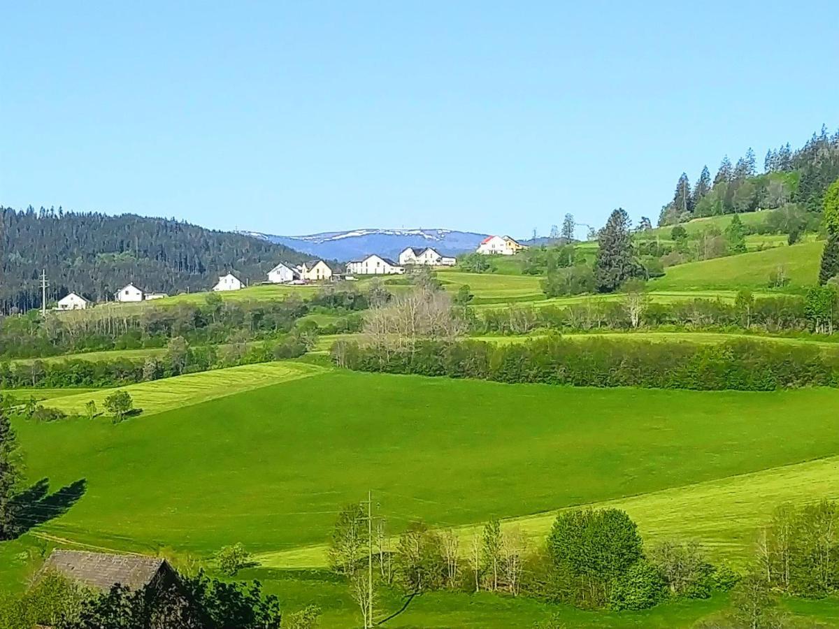 Romantic Style Apartment Titisee-Neustadt Ngoại thất bức ảnh