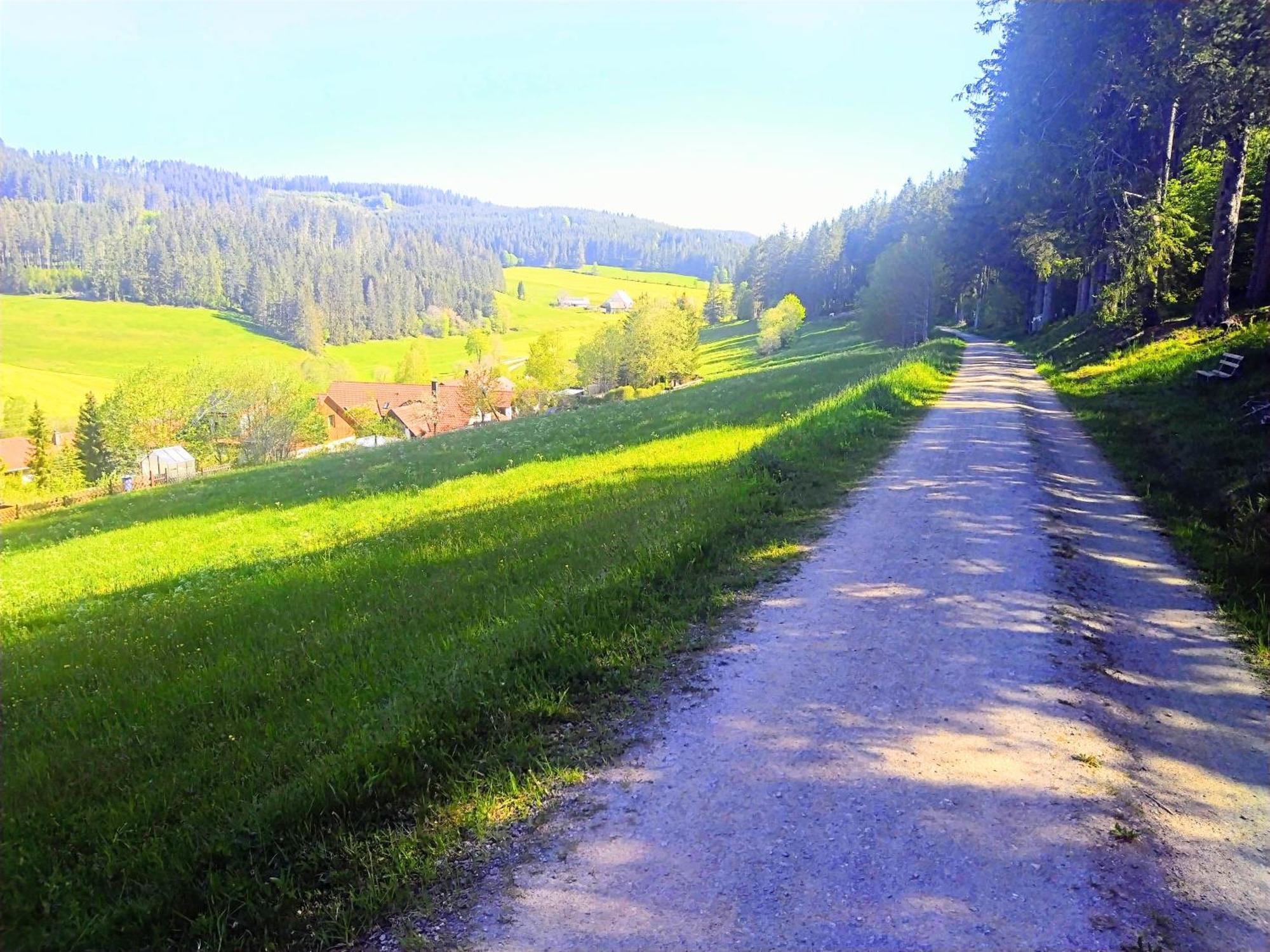 Romantic Style Apartment Titisee-Neustadt Ngoại thất bức ảnh